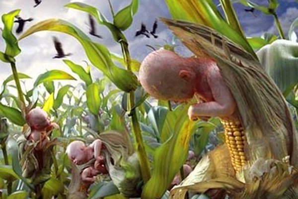 ����Ԫת�����¼�ʼĩ ����Ԫ����һ�����������ĺ���