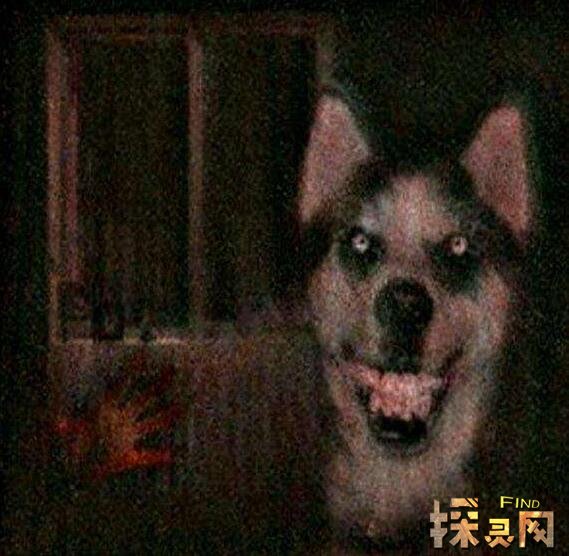 ΢Цsmile.jpgԭͼ һ˱߳Զ߿