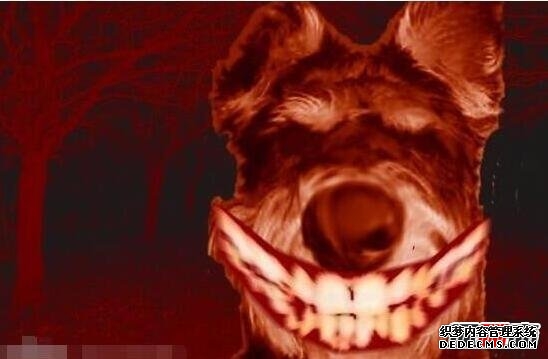 ֲܼ֥ŮͼƬ ܼ־֢Ҫ