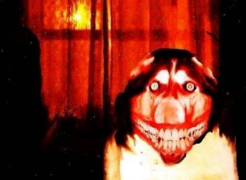 ΢ЦͼƬԭͼֲ smile.jpgһֻʿɫ۾