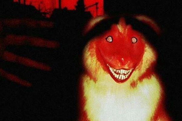 ΢Цsmile.jpgͼƬ ΢Цԭͼϸ˼