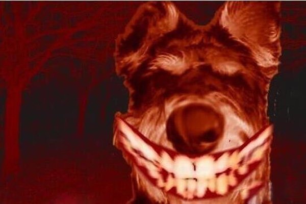 ΢Цsmile.jpgͼƬ ΢Цԭͼϸ˼
