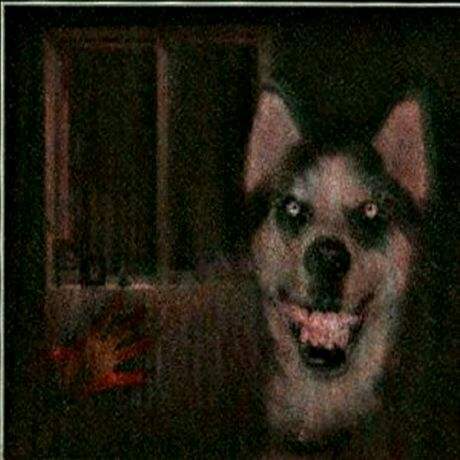 smile dogֲԭͼ 1990ʿ΢Ц¼