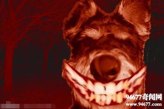 smiledogjpg΢ЦƬ ¶Ц΢Ц¼