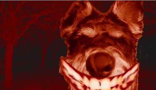 smiledogԭͼûp֮ǰ ͳ΢Цֲ