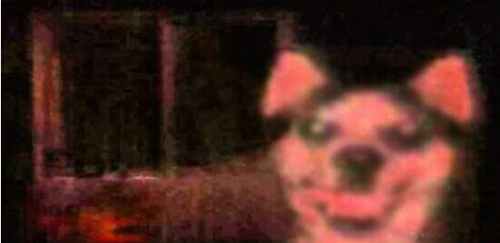 smiledogԭͼûp֮ǰ ͳ΢Цֲ