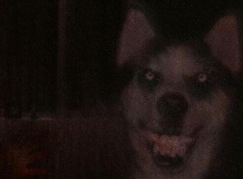 ΢Ц˶ smile.jpg΢ЦͼƬڿֲ