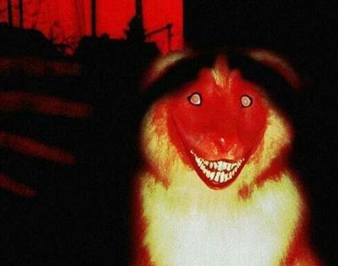 ΢Ц˶ smile.jpg΢ЦͼƬڿֲ