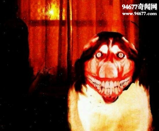smiledogԭͼƬ ֲ۾ǹֹ΢Ц