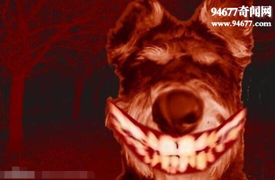 smiledogֲԭ ЦݺܹĹտֲ