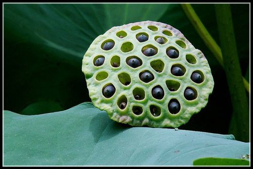 ʲô? һſŵֲܿ