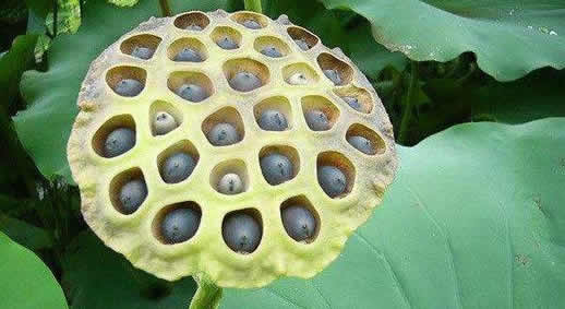 տָʲô? ʵ,ͼƬ˻