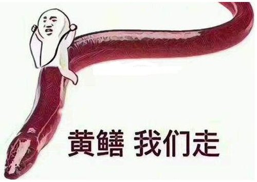 Ļ¼ɶ˼ Ůȡʬ