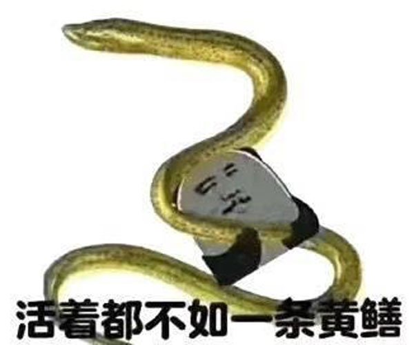 Ļ¼ɶ˼ Ůȡʬ