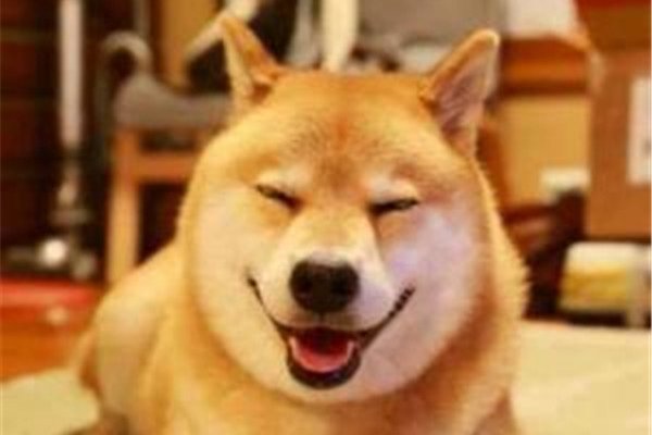 ΢ЦԭֲͼƬ ΢ЦԭͼΪʲô˺?
