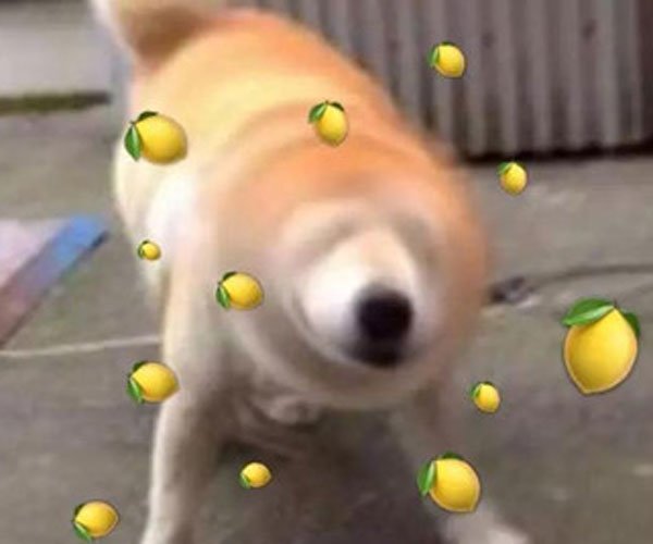 ɻɶ˼? Ů֮˵ɻʲô˼(۵ܿ)