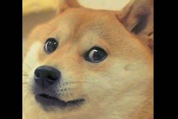 ɻɶ˼? Ů֮˵ɻʲô˼(۵ܿ)