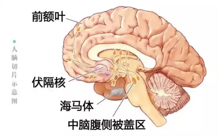 ж˯ԼϲŮ 첱Ӵȥؼ