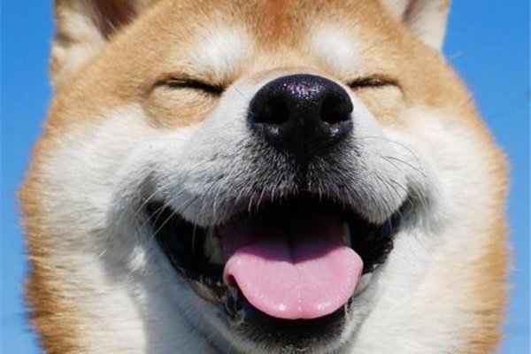 ʲô΢Ц¼ ˵΢ЦԭͼͼƬǳĿֲ