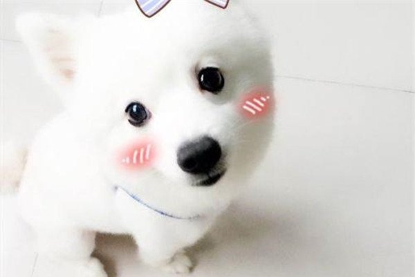ʲô΢Ц¼ ˵΢ЦԭͼͼƬǳĿֲ