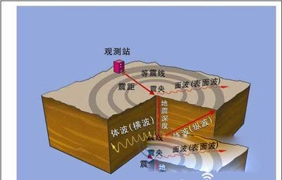봨ֲʵͼƬ 봨¼ʵ(й¶)