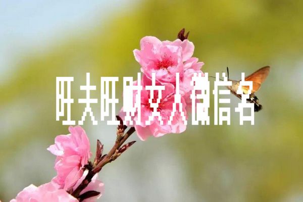 ı΢ Ů΢ִвת