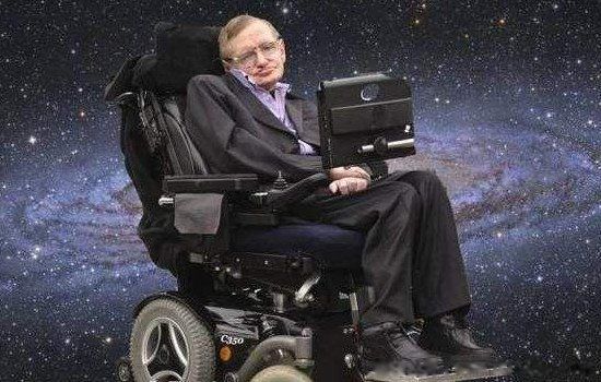 2023 Ԥ2023ô(ɥʬ)