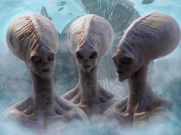ѧҲҹĿֲ ֲ
