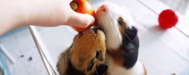 ˭˭ڵԭ Ƣζ