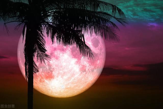 Ѫ³ζʲô Ѫµ˻ô?