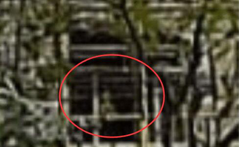 Ϻ·11.15ش¼ ܹ죺·¼