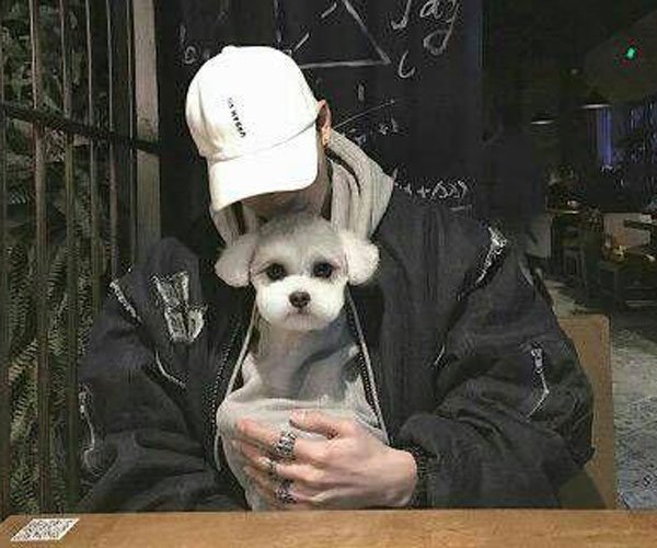 è˲ܼ޵ԭ Ҫè˽Σ