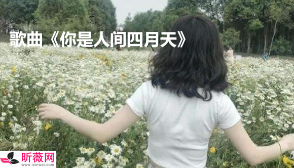 ʮ ʮĸ