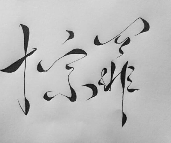 ʮкԭͼֲ Сָ۳