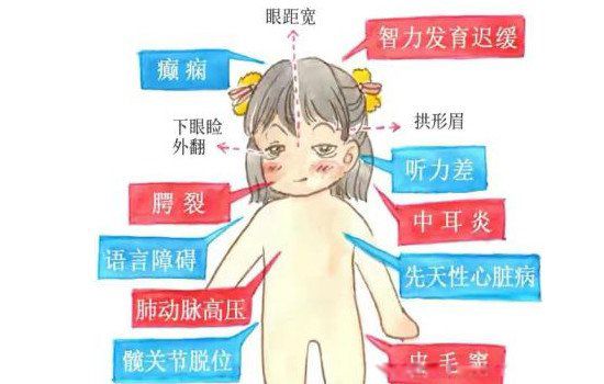 輿ۺʲô˼ ĸ輿ۺ֢Ư