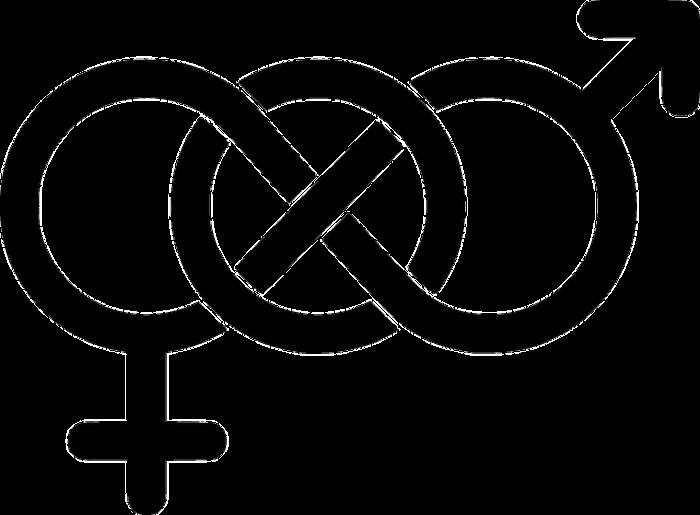 ʲô��˫���� ��ͬ��ϲ�����˺�Ů�ˣ�˫�����ж�����