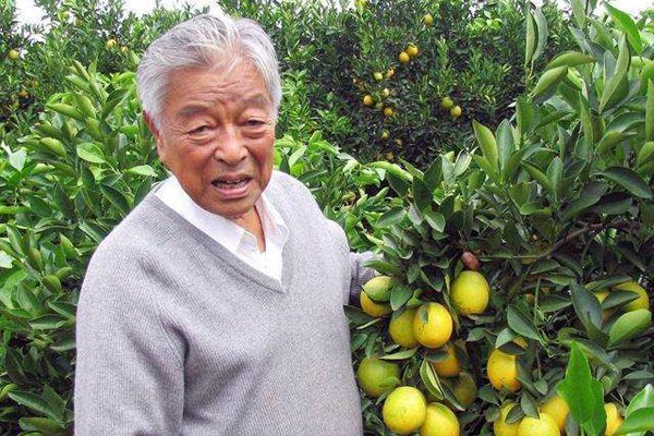 ��ʱ���������ϼ���� �̲ݴ����Ĵ����������꾪����!