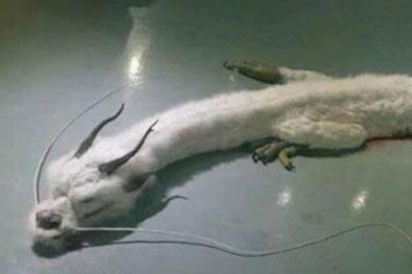 йҹ ʵ˻Ǹ