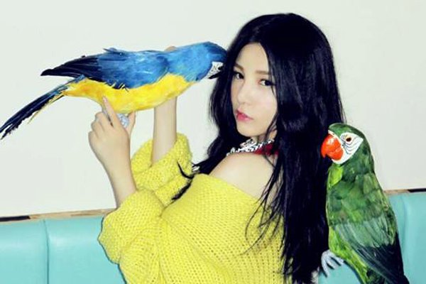 ֱϼ ¼ࣺ⵽׻ڲ2023