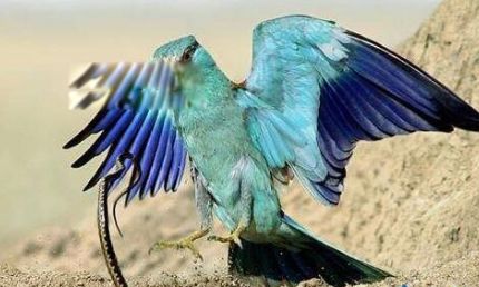 йҩаǰʮЩ ΣֲѪһʲôֲ