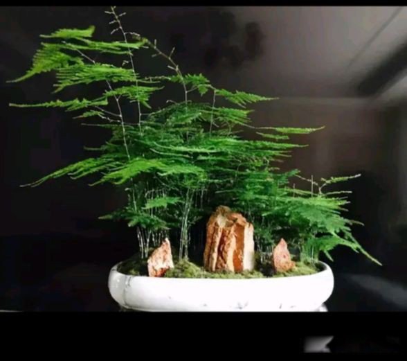 ϲĶŮĴԸص ֪ʶ׹ͨ
