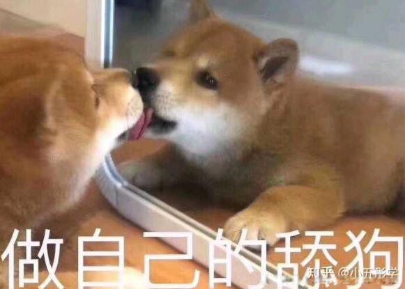 ʲô˼ һζֺöԷ̥