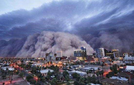 ��ĸ������2023һ2024���Ԥ�� ��ĸ��2023��î��Ԥ�Խ���