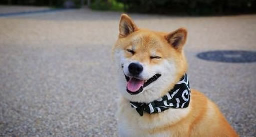 ΢ЦͼƬԭͼֲ smile.jpgPSϳƵ