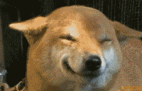΢ЦͼƬԭͼֲ smile.jpgPSϳƵ