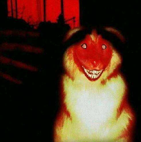 ΢ЦͼƬԭͼֲ smile.jpgPSϳƵ