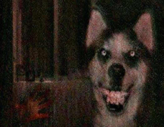 ΢ЦͼƬԭͼֲ smile.jpgPSϳƵ