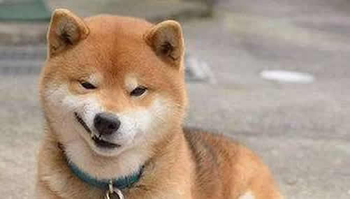 ΢ЦͼƬԭͼֲ smile.jpgPSϳƵ