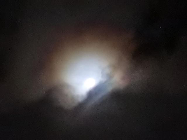 科学家不敢公布的恐怖真相 科学的尽头是神学这句话是谁说的