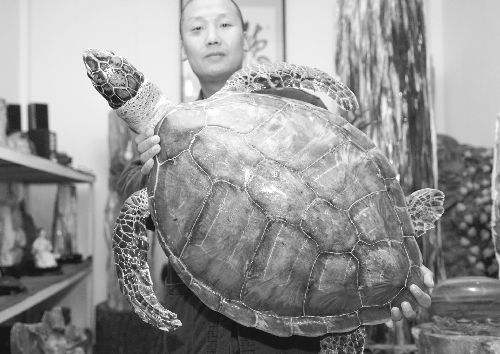 �����ʲô���� ��ˮ������������ǧ��������